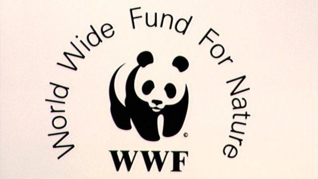 Logo de WFF